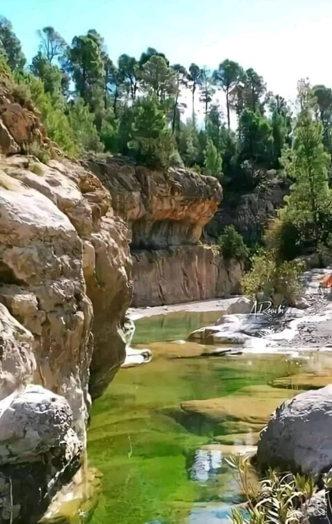 بحيرة الرميلة